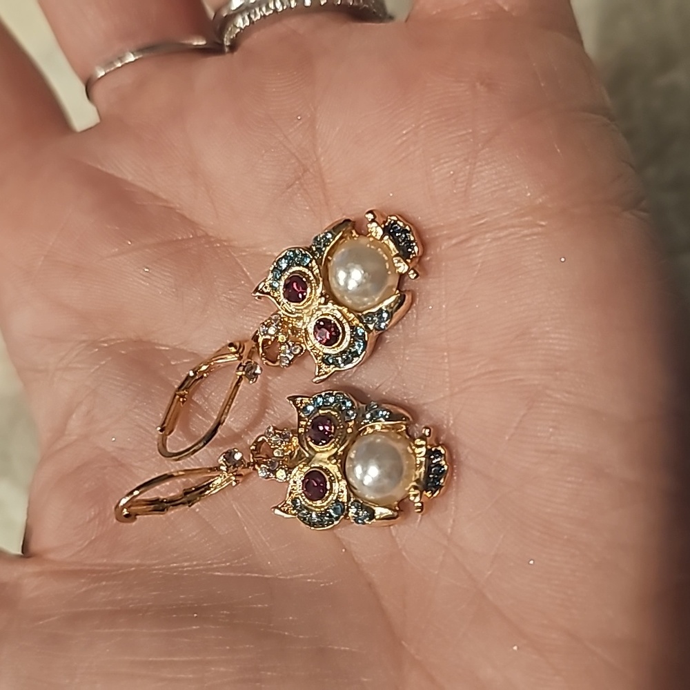 Owl Earrings